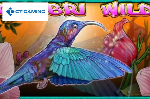 Colibri Wild